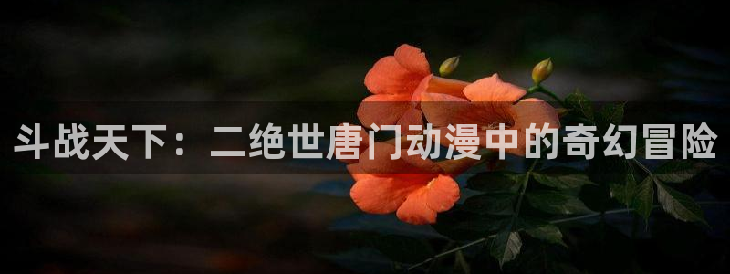 里番本子漫画全彩：斗战天下：二绝世唐门动漫中的奇幻冒险