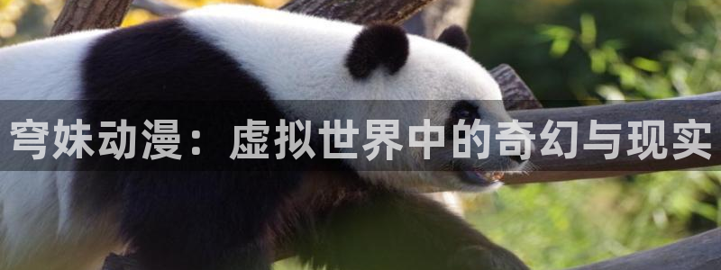 里番动漫免费：穹妹动漫：虚拟世界中的奇幻与现实