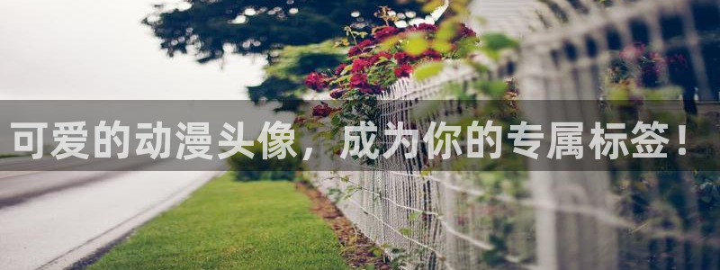 里番美女动漫：可爱的动漫头像，成为你的专属标签！