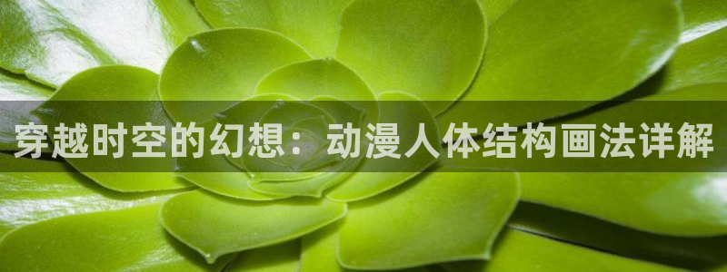 里番推荐：穿越时空的幻想：动漫人体结构画法详解