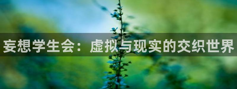 里番肉番动漫在线：妄想学生会：虚拟与现实的交织世界
