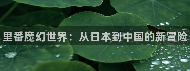 同人里番动漫：里番魔幻世界：从日本到中国的新冒险