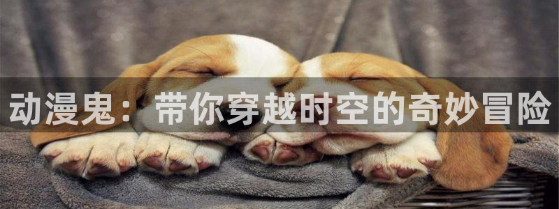 里番动漫app有哪些：动漫鬼：带你穿越时空的奇妙冒险