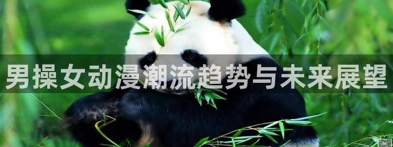 有什么动漫里番动漫：男操女动漫潮流趋势与未来展望