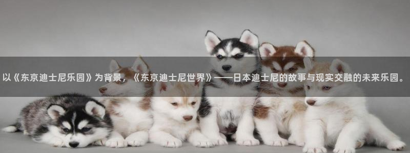 里番漫推荐：以《东京迪士尼乐园》为背景，《东京迪士尼世界》——日本迪士尼的故事与现实交融的未来乐园。