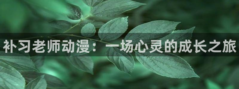 里番同人漫画大全：补习老师动漫：一场心灵的成长之旅